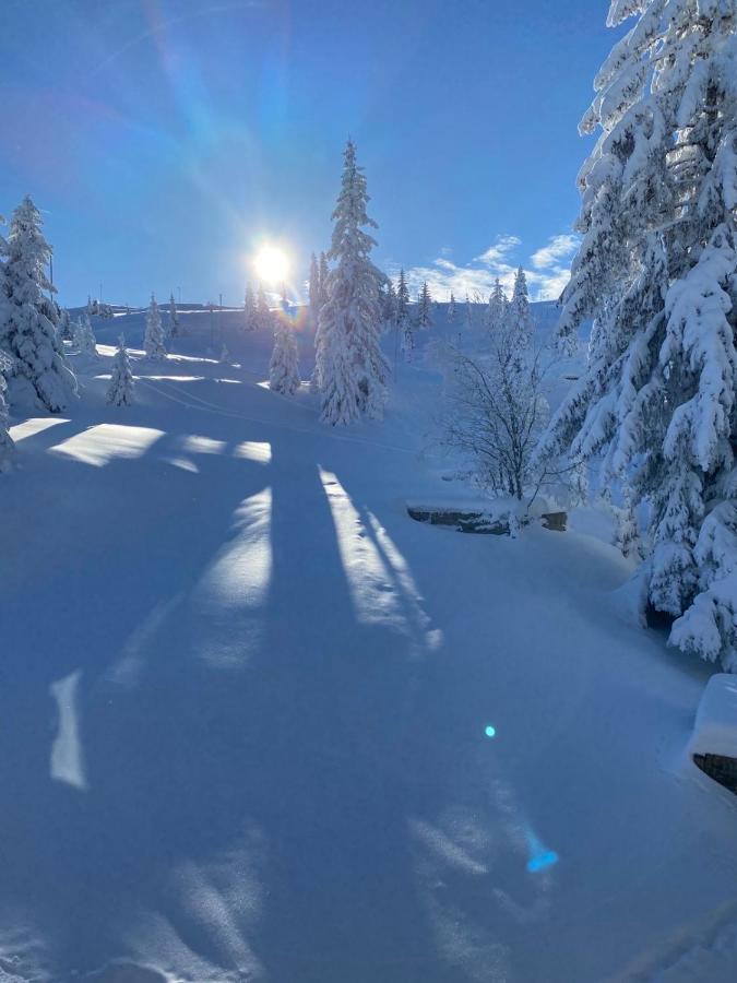 Olimpik House Jahorina Villa Екстериор снимка