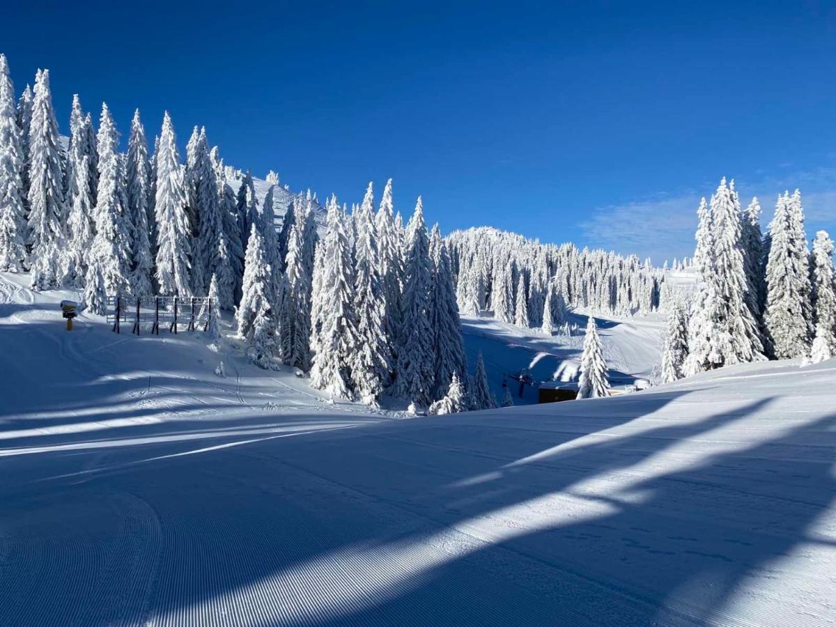 Olimpik House Jahorina Villa Екстериор снимка