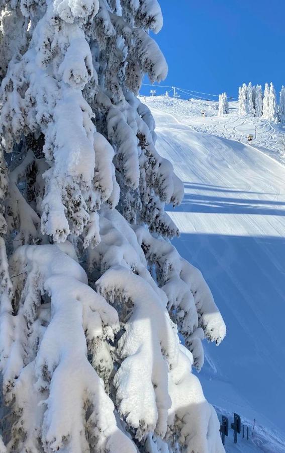 Olimpik House Jahorina Villa Екстериор снимка